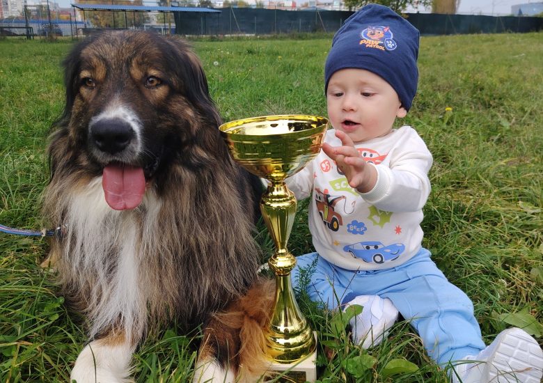 Medo – najmješanac grada Karlovca za 2025.